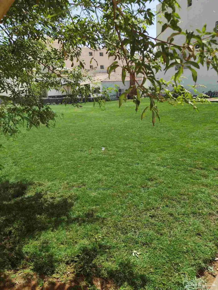 ثيل طبيعي وشبكة الري 0