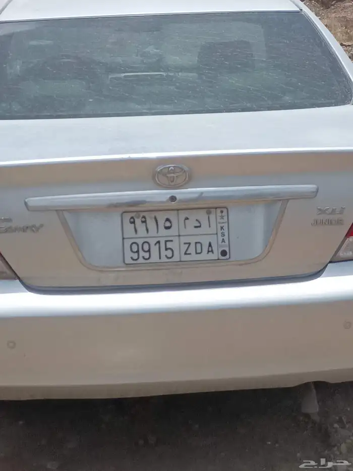 لوحة مميزة للبيع لاعلى سوم. ا د م 9915 1