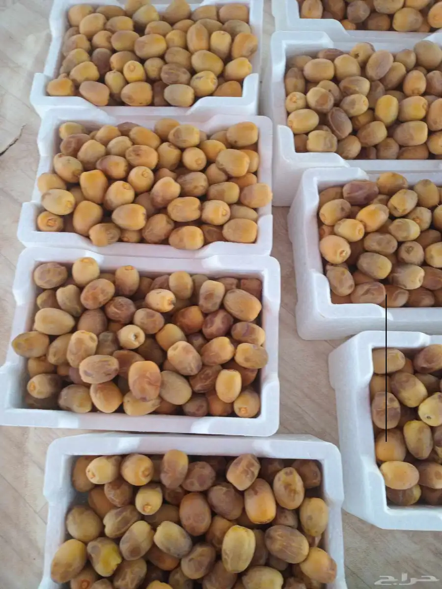 رطب روثانه حبه فاخره 1