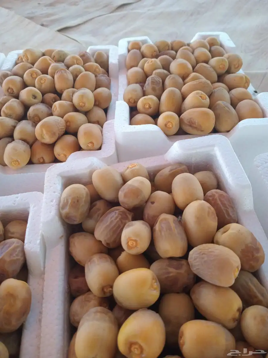 رطب روثانه حبه فاخره 2