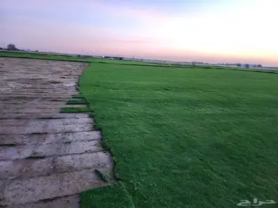 ثيل سي الفين 2