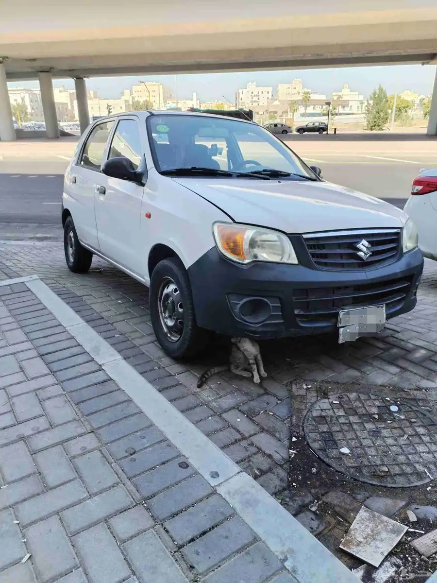 سوزوكي التو 2014 alto k10 1