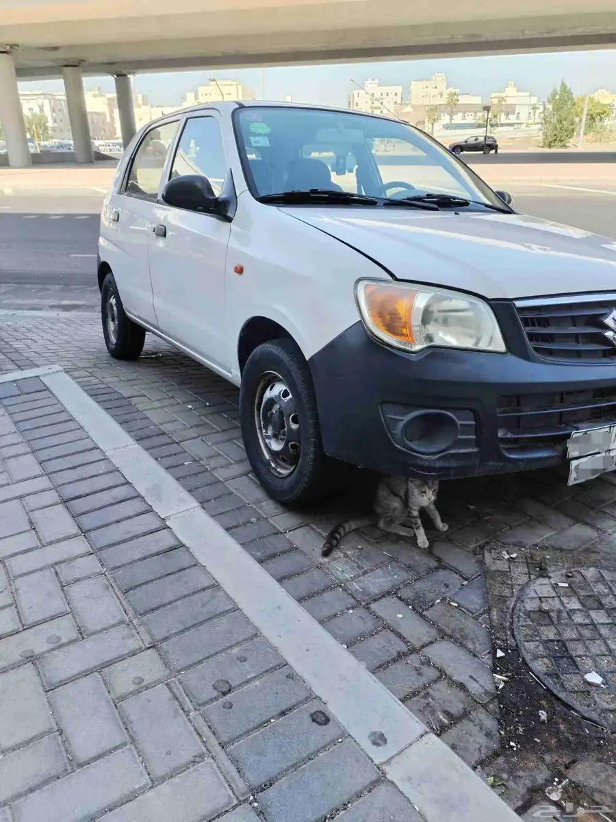 سوزوكي التو 2014 alto k10 2