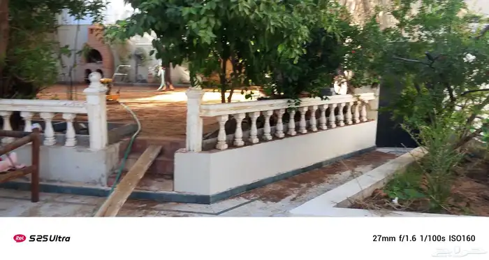 دھانات شغل  حايل 3