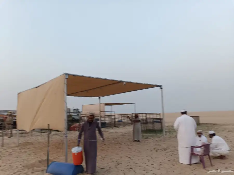 مضلات سيارت 4