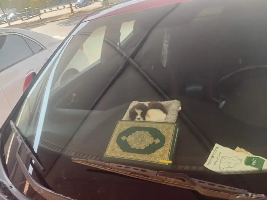 هونداي فيلوستر 0