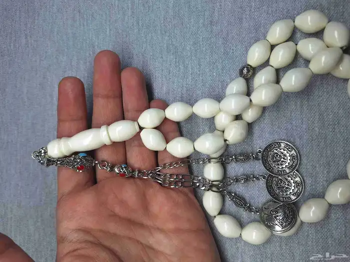 عظم جمل راهي 2