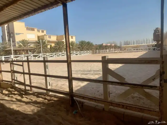 اسطبل للايجار خاص جدة ذهبان قريب البحر 12غرفة وبادوق كبير 6