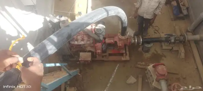 معلم نخيل وخضار 0