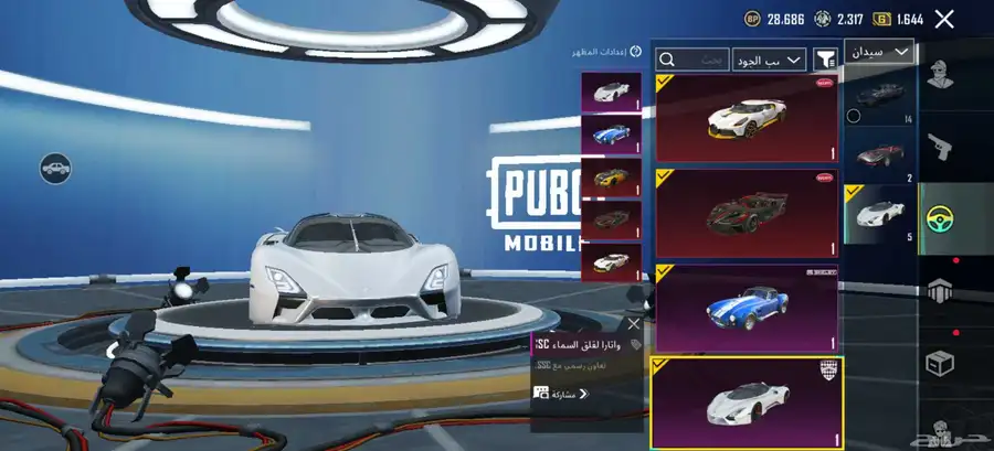 حساب ببجي اسطوري فرعون ماكس 17