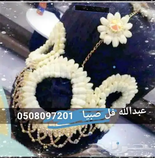 فل صبيا  جيزانيات_جيزانيه_جازان_ابوعريش__صامطة_صامطه_الطوال 5