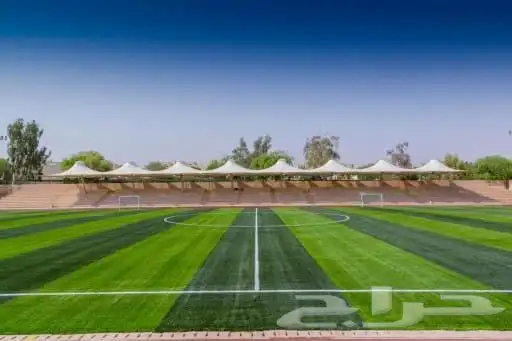 توريد وتركيب ملاعب كرة قدم 6