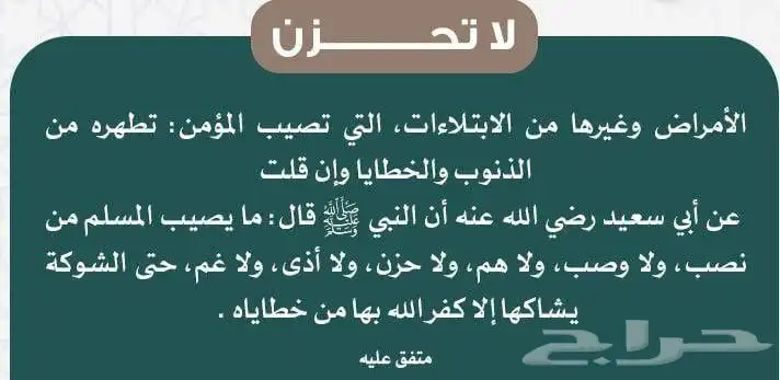 زاجل سباق جوز الذكرجانسن بحجل الانثى جان اردن كايبر بدون حجل 6