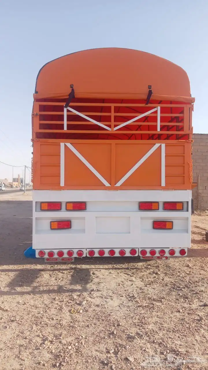 تيدر جوانب قاعده 12 2