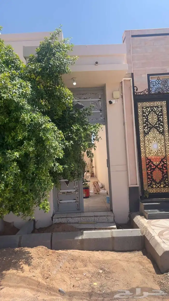 دھانات شغل  حايل 8