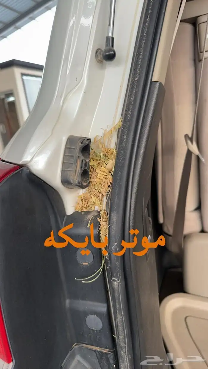جى اكس ار سعودي 2009 11