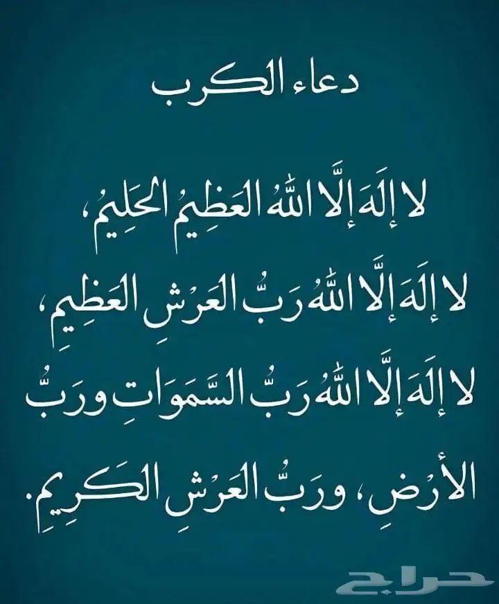 زاجل سباق جوز الذكرجانسن بحجل الانثى جان اردن كايبر بدون حجل 3
