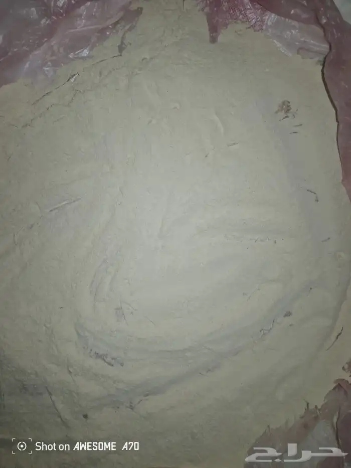 بودره لقاح نخيل 2