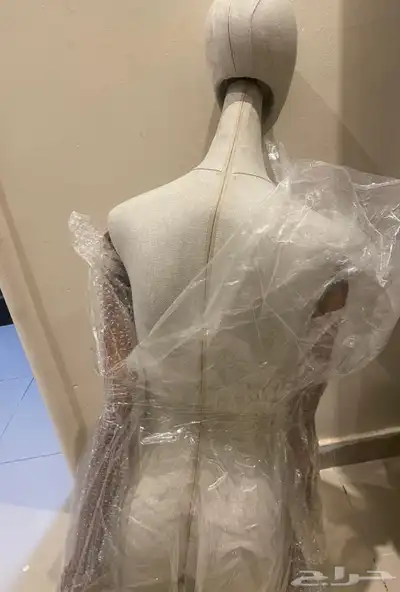 منيكان 1