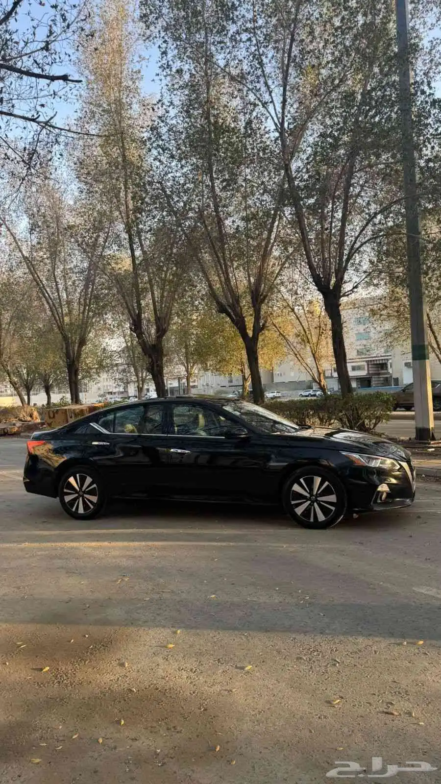 التيما 3