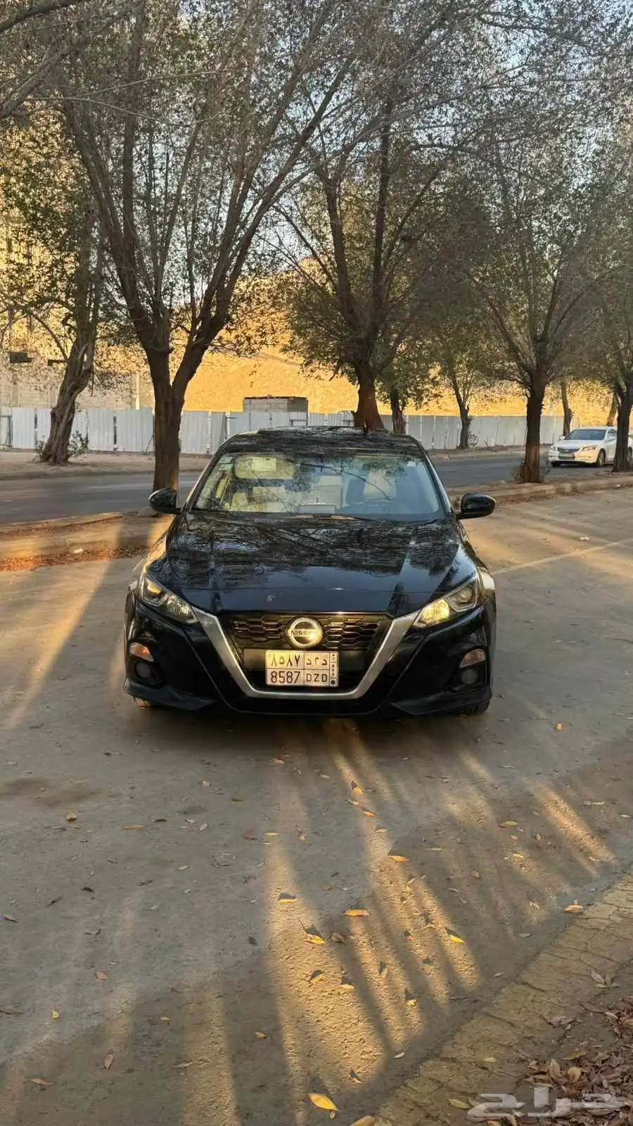 التيما 2
