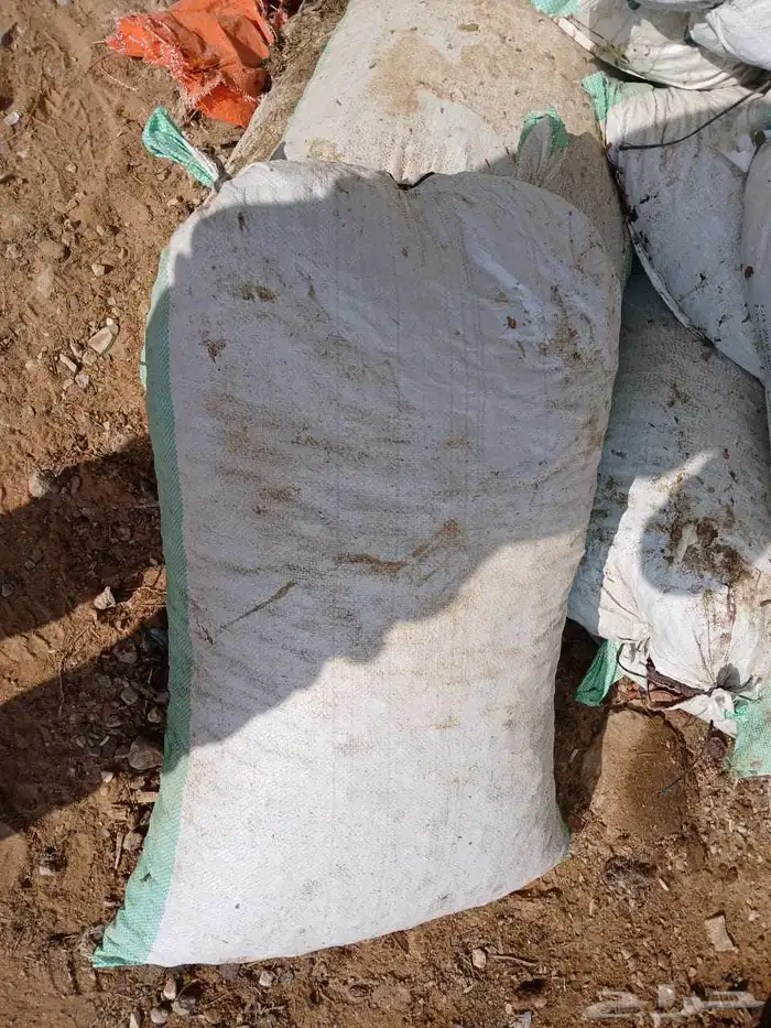 يوجد تمر حلال 1
