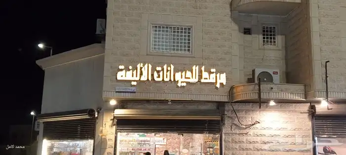 لوحات حروف بارزة 4