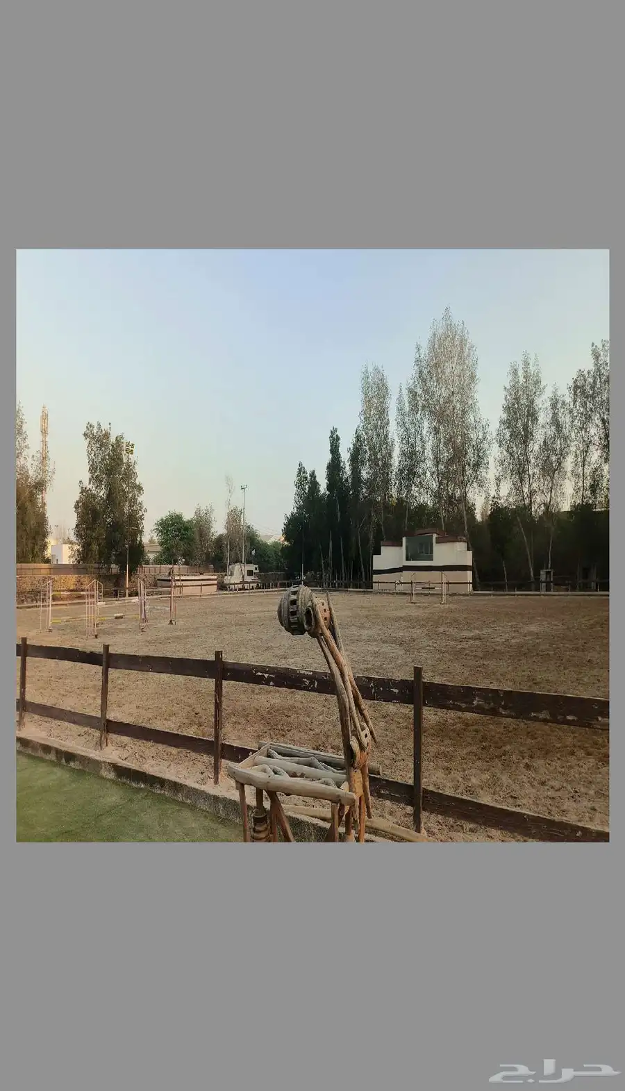 خدمات تدريب فروسية عسف الخيل وتطوير مستواها مع خدمة الايواء 0