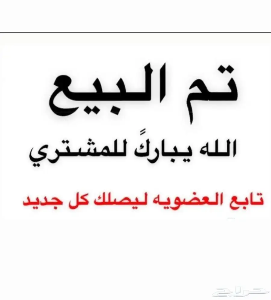 عنز مصريه مضرع تبارك الله وحليب وافر منوه القناي 0