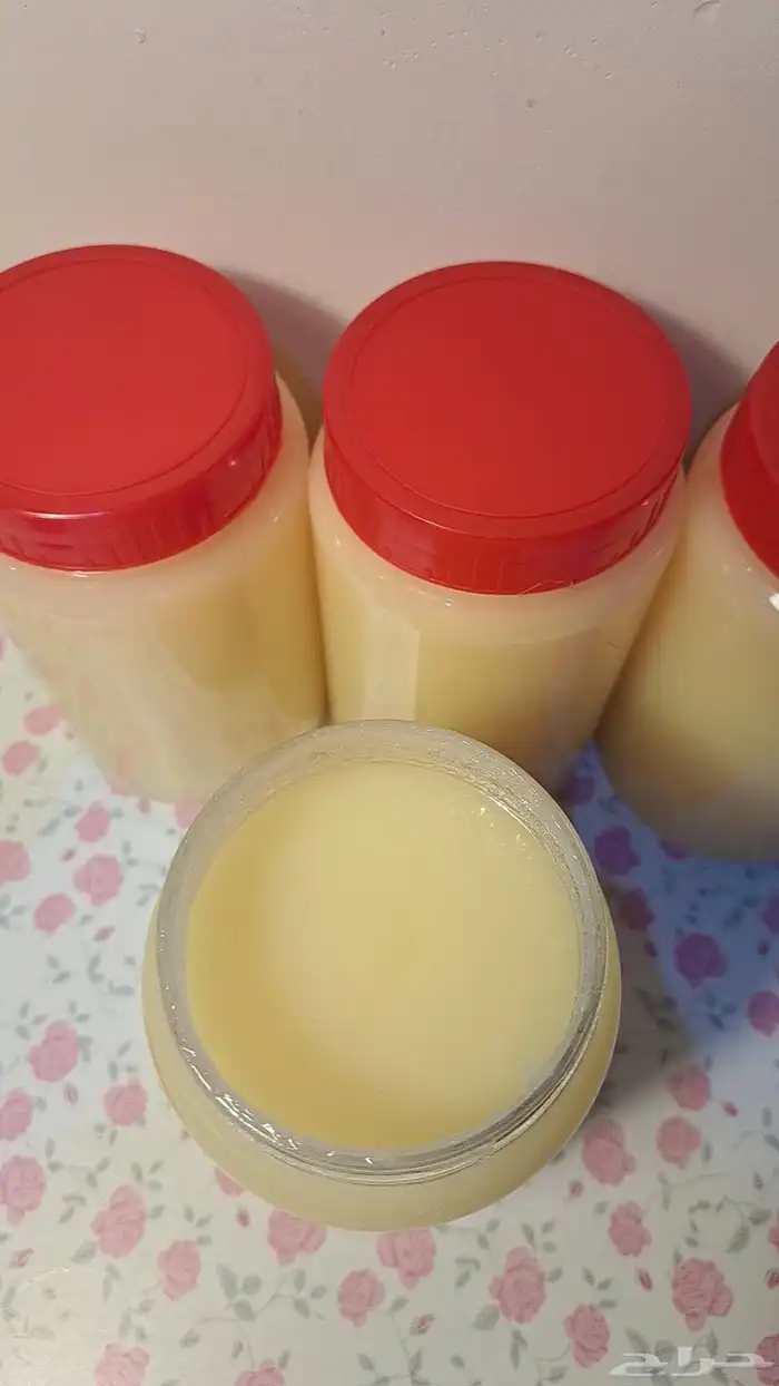 سمن معزه بري 0