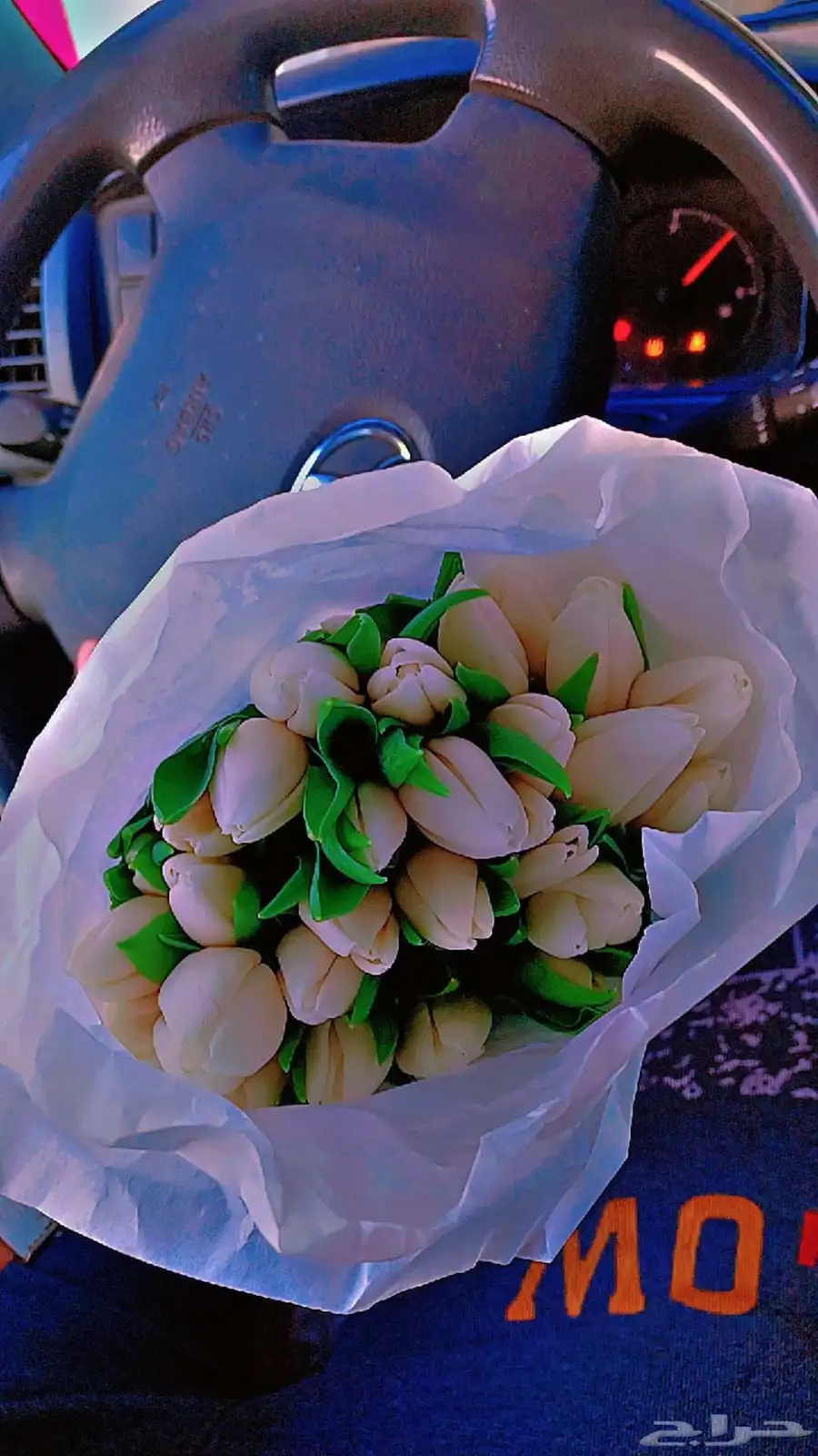 ورود طبيعية بالجملة 2