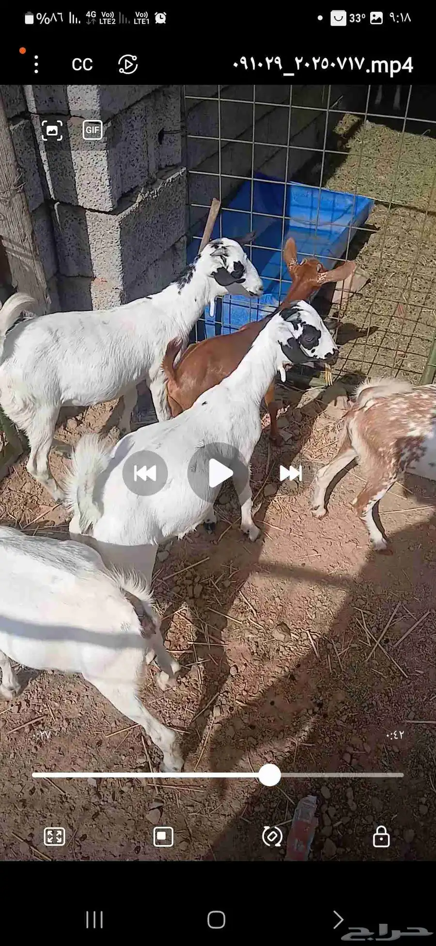 جفار للبيع 2