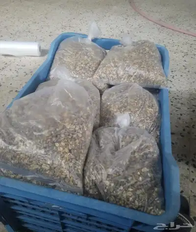 اعلاف دجاج 0