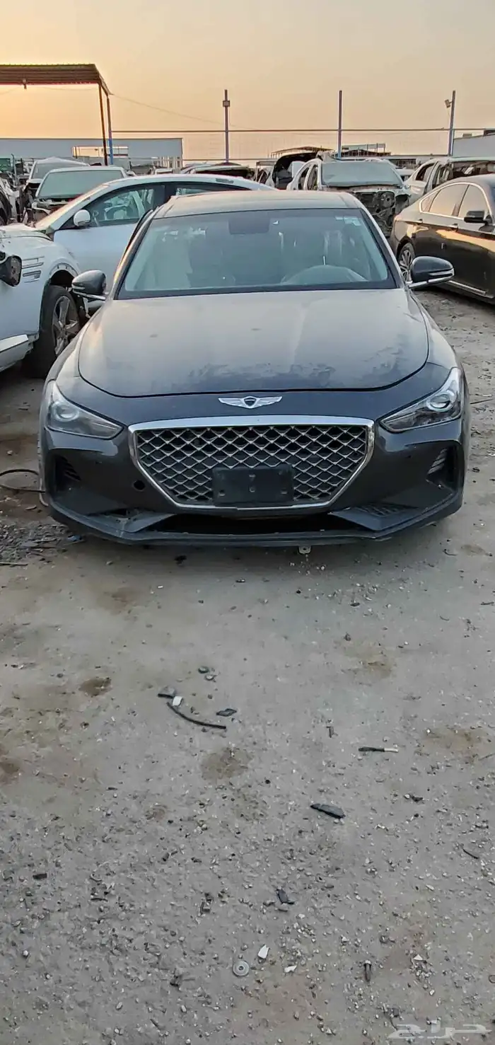 جنسس 2020 0