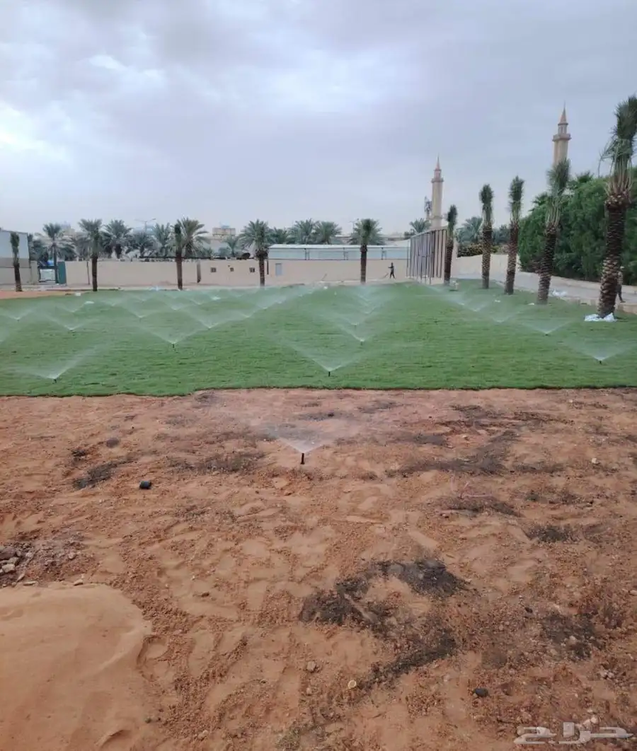 مزرعة ثيل طبيعي نجيله بأسعار الجمله 1