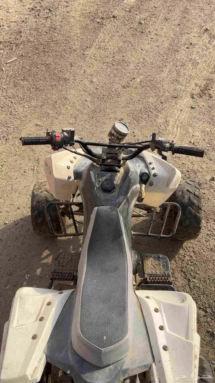 دباب 1