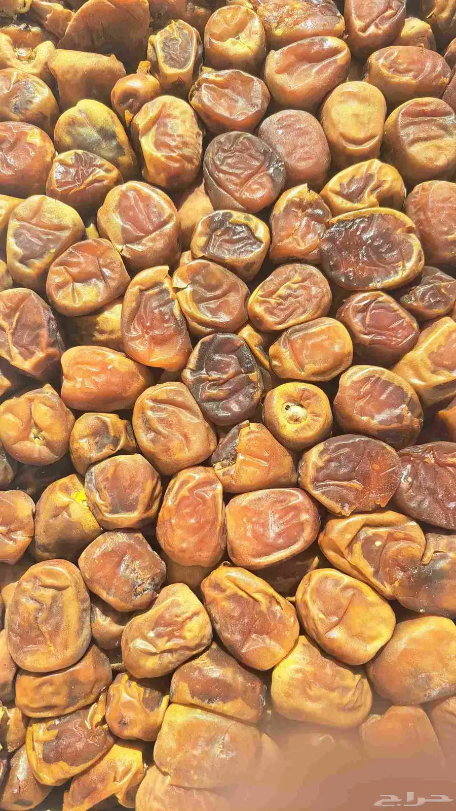 تمر رطب سكري 0