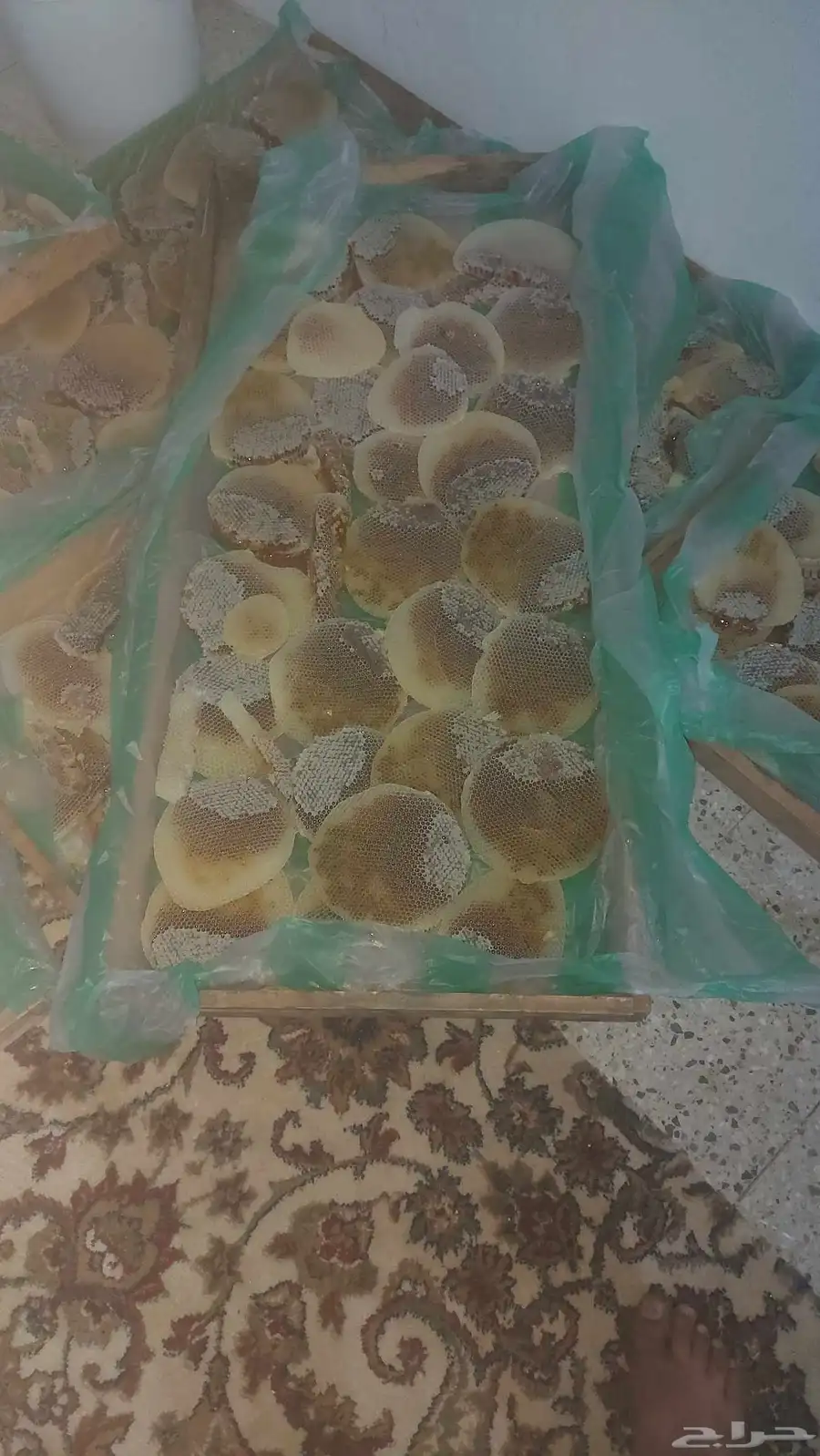 شمع عسل الطلح حايل ماشا الله طبيعي 100في 100 0