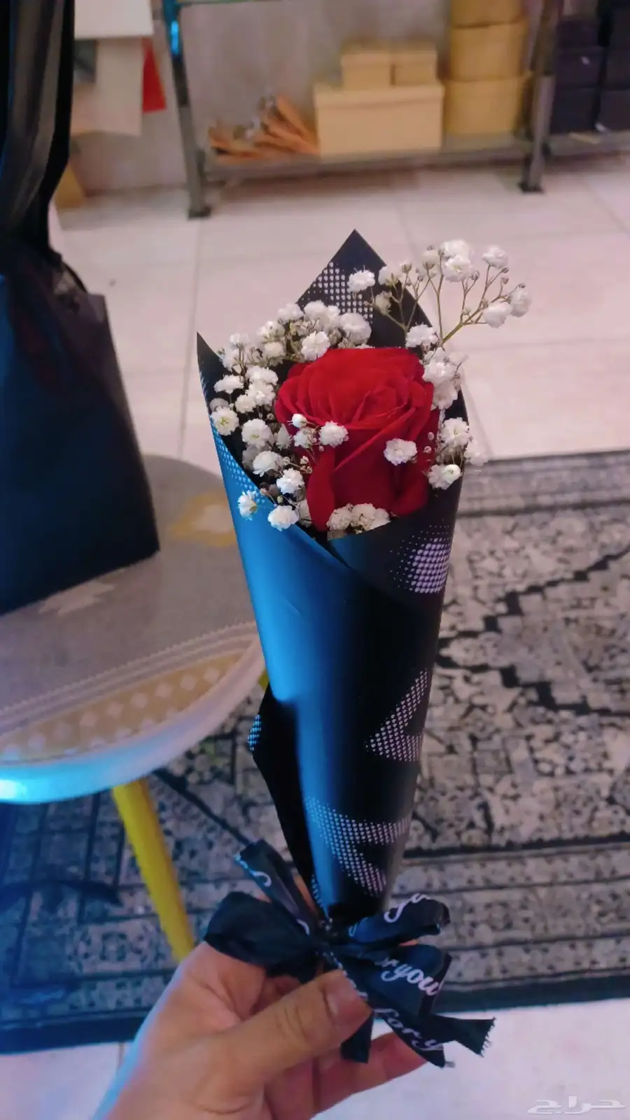 ورود طبيعية بالجملة 1