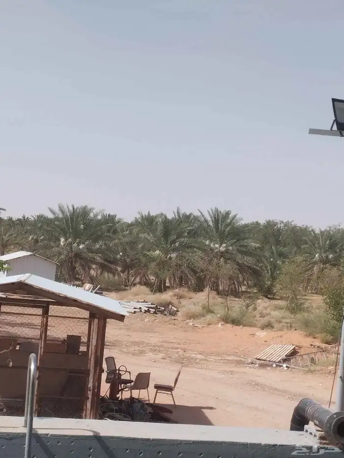 ثمره خلاص البيع فاخر من الاخر 0