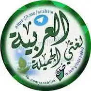 معلمه لغتى جميع المراحل التعليميه ابتدائى ومتوسط وثانو 0