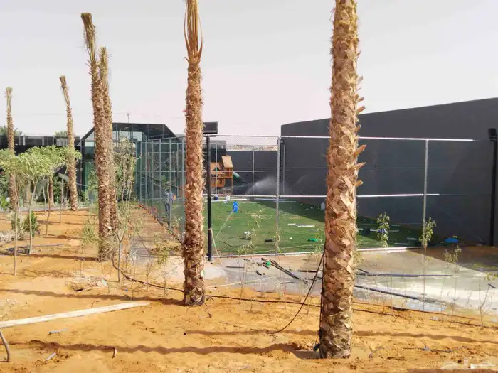 مقاول شبوك 6