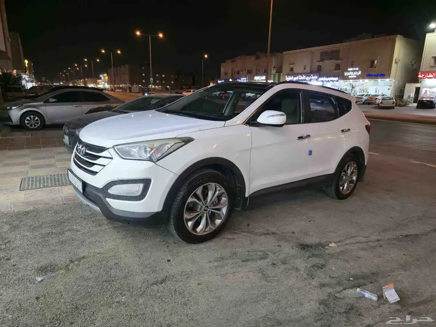 سنتافي 2014 5