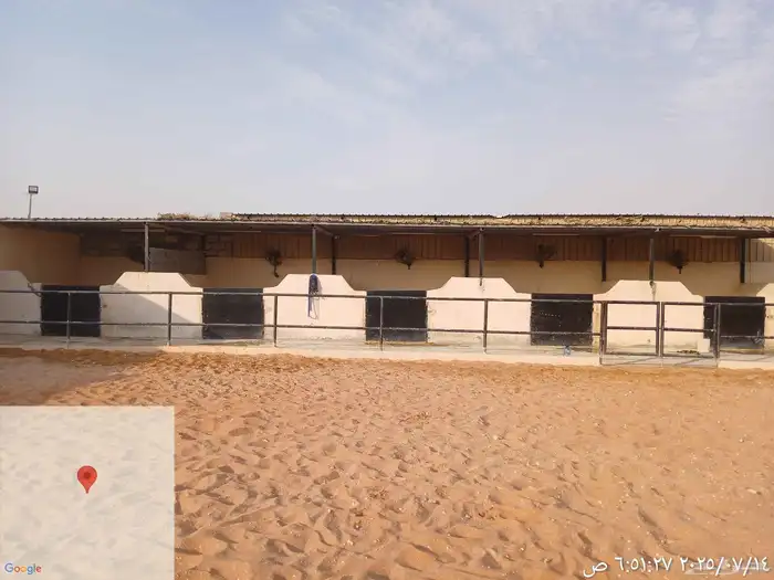 معلم بوهيا 0