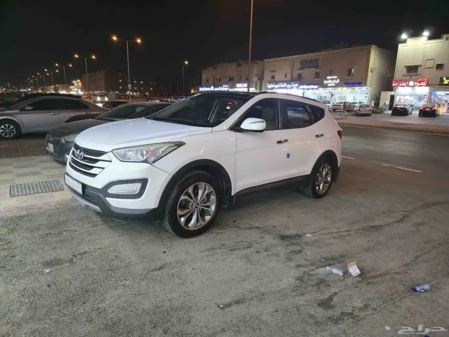 سنتافي 2014 6