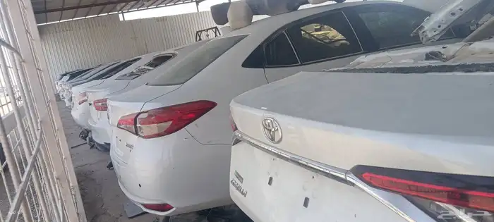 متخصصين يارس قديم وحديث 1