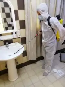 شركة مكافحة حشرات رش مبيدات رش مبيد نمل صراصير وزغ فأران 3