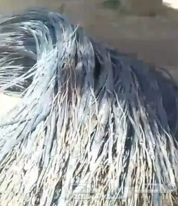 للبيع اسلك حديديه لزاعه المكسوفه ليت زراعيه مستخدمه 1