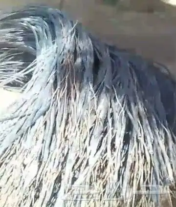 للبيع اسلك حديديه لزاعه المكسوفه ليت زراعيه مستخدمه 3