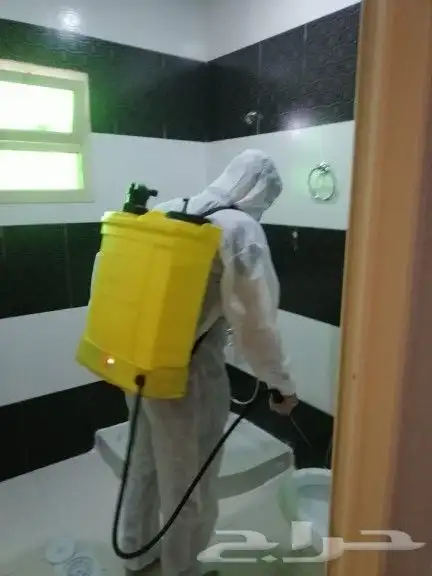 شركة مكافحة حشرات رش مبيدات رش مبيد نمل صراصير وزغ فأران 5
